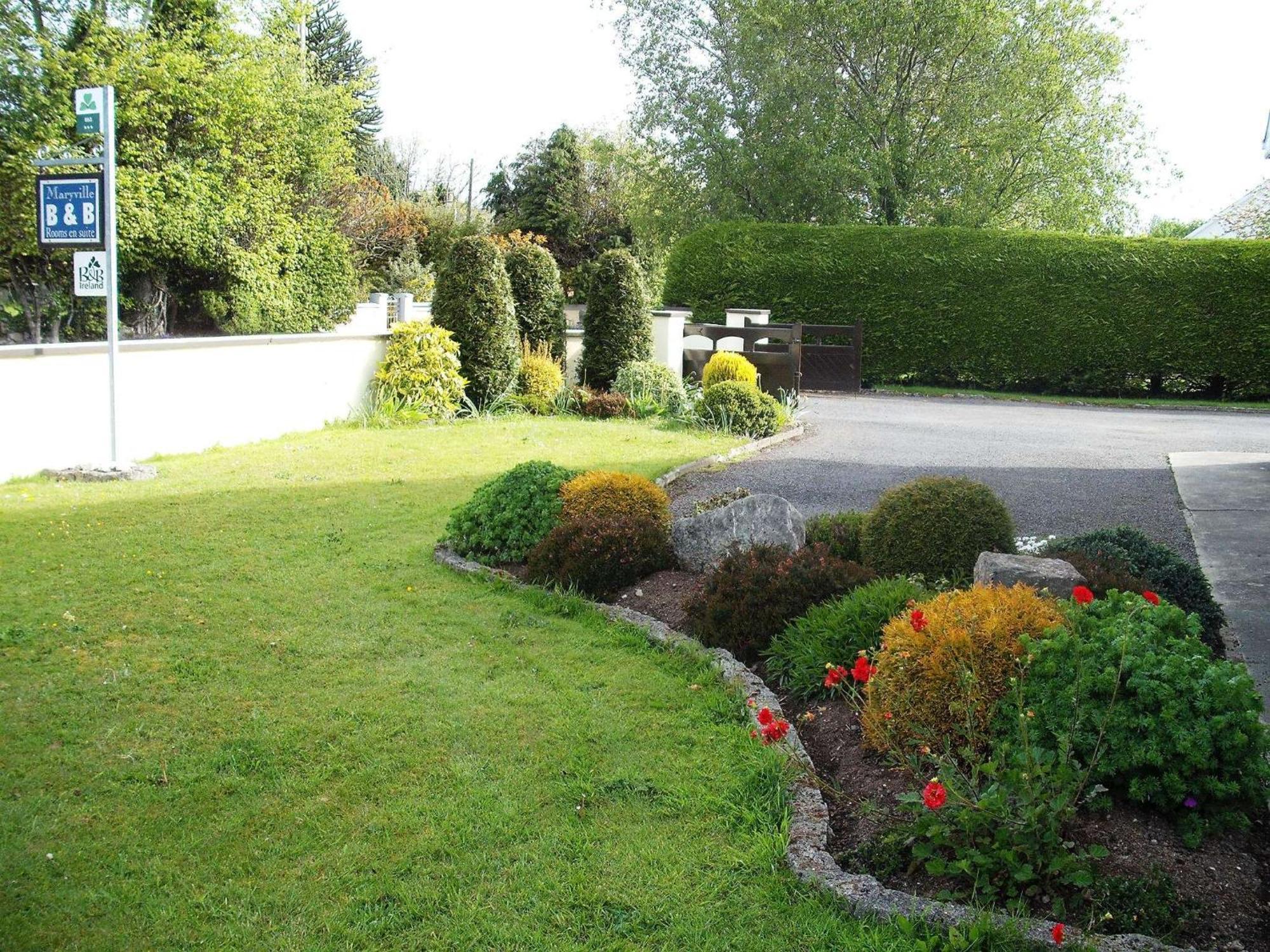 Maryville Bed And Breakfast Nenagh Exteriér fotografie